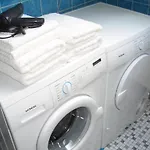 Renate Brandes